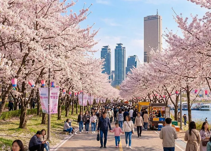 Seoulwood Retreat, Dangsan Near Hongdae & Yeouido, 5 Min Walk From The Subway Station